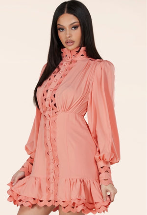 Pink Mini Dress features wavy trim details throughout