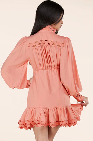 Pink Mini Dress features wavy trim details throughout